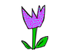 Flower Image